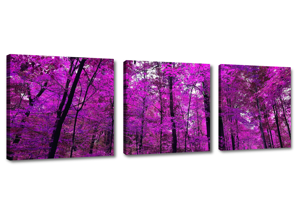 Quadro su Tela 100x70cm Stampe da Parete Foresta verde raggi di sole natura Gran