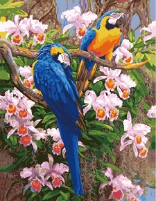 Malen nach Zahlen 50 x 40 cm gerahmt Papagei Ara 4325