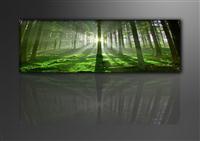Leinwand Bild fert gerahmt Wald  120cm XXL 1 5706