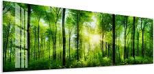 Glasbild auf Acrylglas Wald Grün mit Sonne Bild 90 x 30cm 5804
